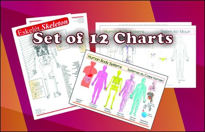 Set of 12 Charts Special